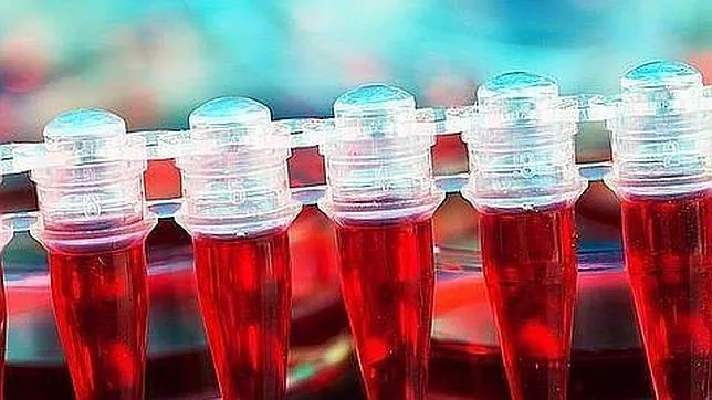 Muchos cánceres de la sangre empiezan a tener tratamientos efectivos