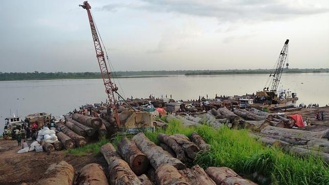 La tala ilegal en el antiguo Zaire amenaza al segundo pulmón verde del planeta