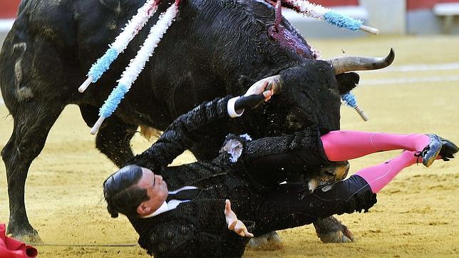 Manzanares, cogido y lesionado, triunfa con Morante y Talavante en Granada