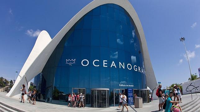 Cacsa adjudica a Aguas de Valencia la gestión del Oceanogràfic y el Ágora