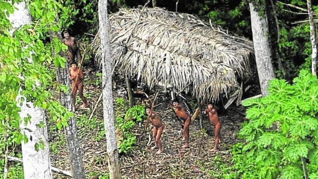 Las últimas tribus aisladas del Amazonas abandonan su refugio en la selva