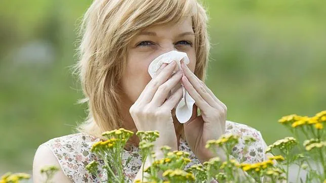 Las alergias aumentan cada año
