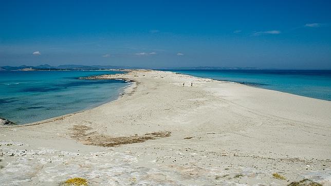 Una lengua de arena en forma de flecha, sella de identidad de Ses Illetes