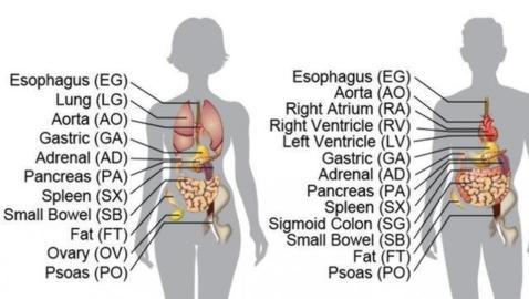 Identifican una relación desconocida entre los cambios epigenéticos y el cáncer