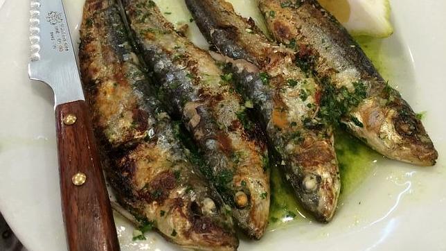 Sardinas frescas en Jai-Ca