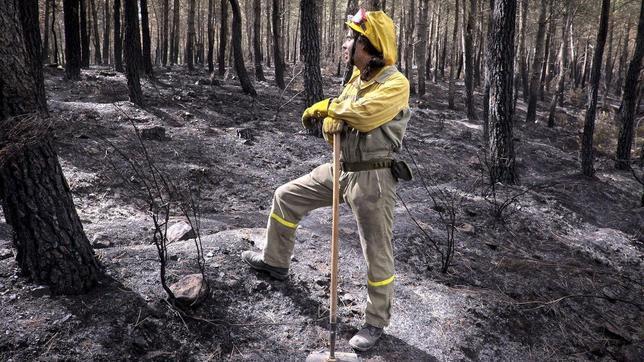 Alerta máxima ante el riesgo de incendios