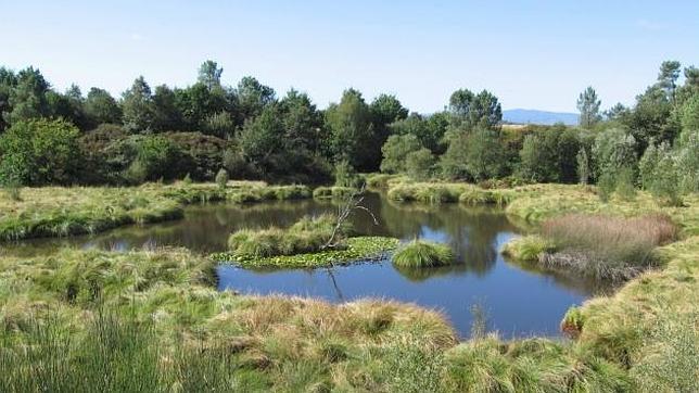 Humedal de Puzo do Lago en Maside