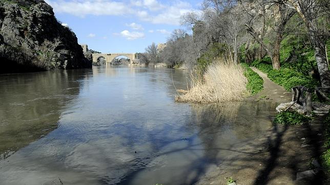 Alertan de que el Tajo en Toledo «se agota» y piden actuar a la Junta