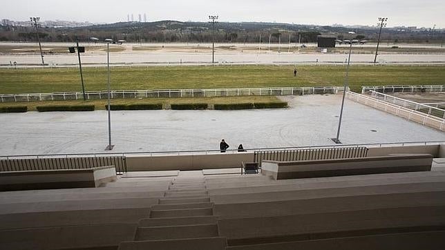 Montoro, dispuesto a llegar a una solución para reabrir el Hipódromo de la Zarzuela