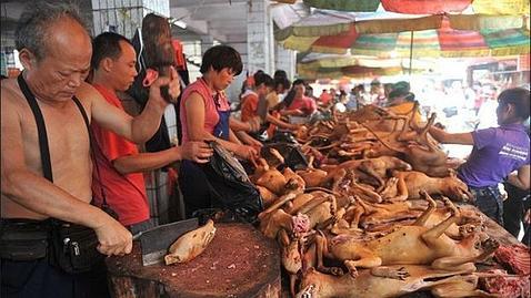 Los cibernautas piden el fin del «Festival de la carne de perro» de Yulin