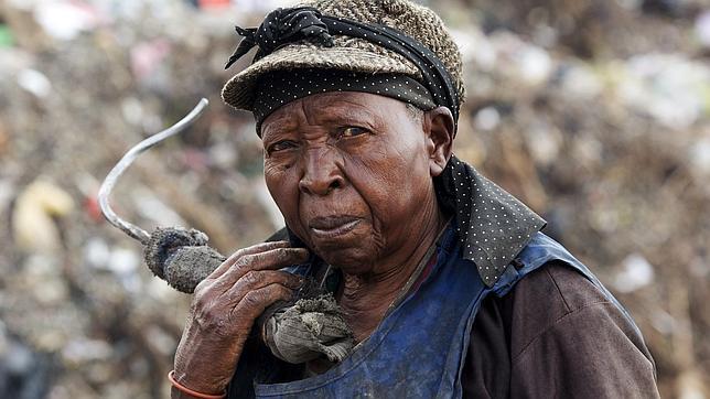 Kenia devolverá licencias a 13 empresas de transferencia de dinero somalíes