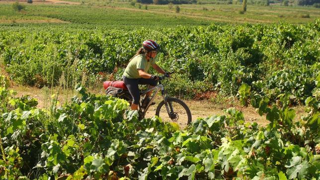 Cómo hacer el Camino de Santiago de bodega en bodega