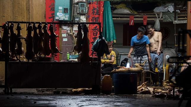 Yulin, el festival gastronómico de China con carne de perro que escandaliza al mundo