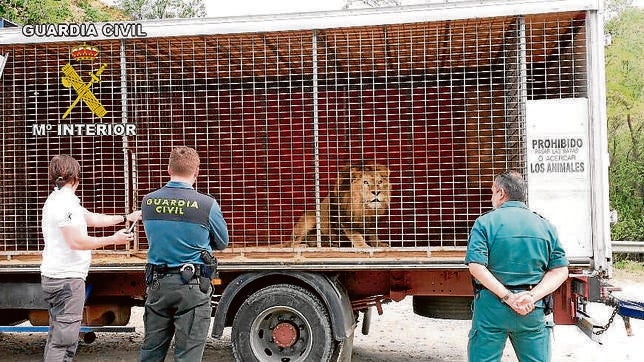 Un centro pionero para acoger animales víctimas del tráfico ilegal