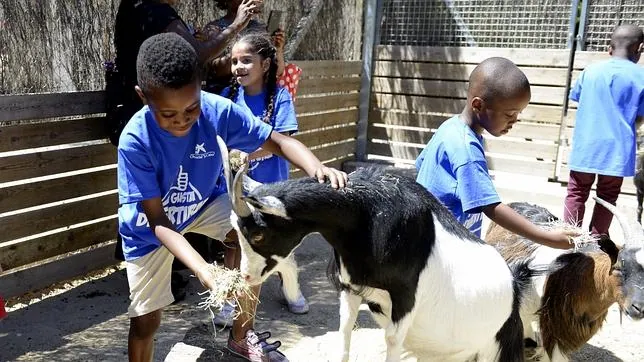 Varios niños alimentan a dos cabras durante su visita al parque temático de Faunia