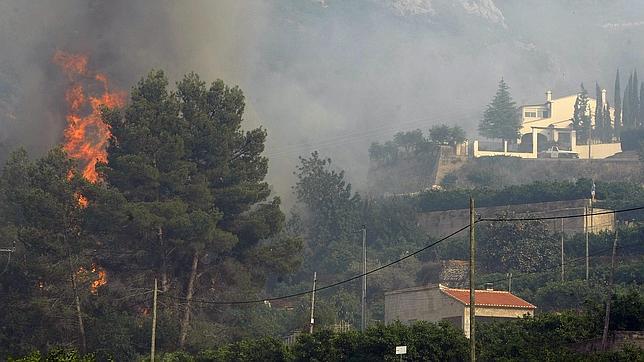 Los grandes incendios forestales queman hasta el 85 % de la superficie arrasada