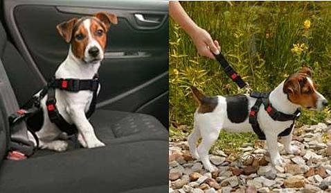 Imagen de un arnés de seguridad (ABC)