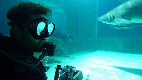 David Bisbal en el acuario del Zoo de Madrid