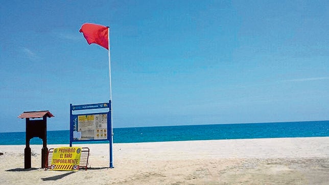 Una microalga tóxica pone en jaque a los bañistas del Levante almeriense