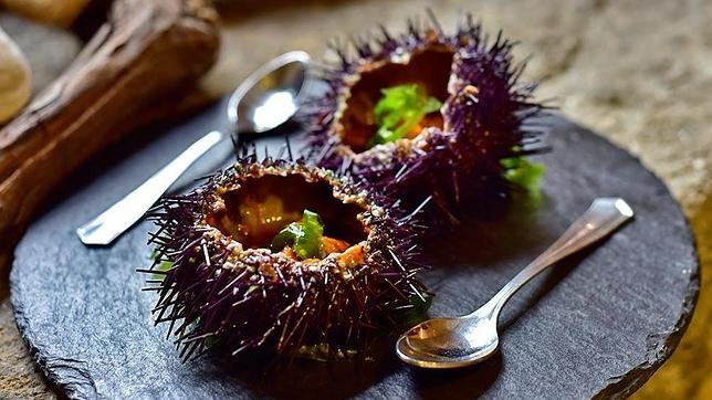 Erizos frescos, uno de los platos más frescos para este verano