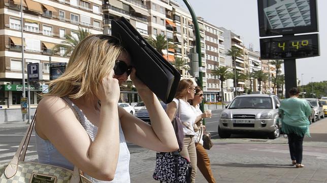 ¿Qué hacer cuando las temperaturas son muy elevadas?