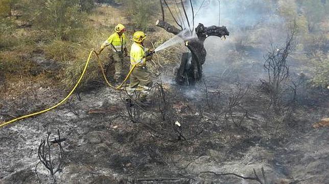 Los bomberos controlan el incendio forestal en Jérica