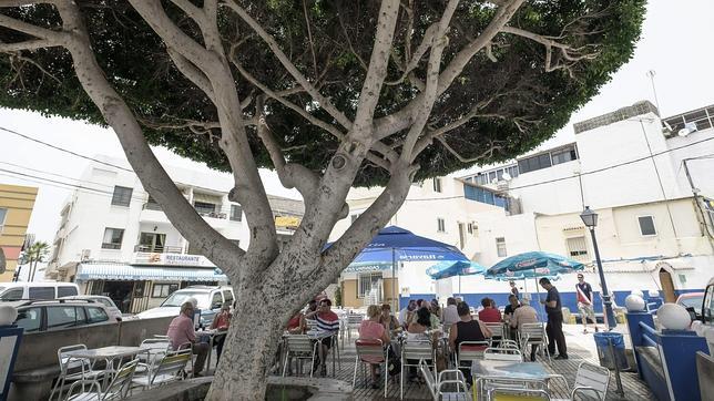 Un «reventón cálido» dispara las temperaturas en Canarias de madrugada por encima de 37 grados