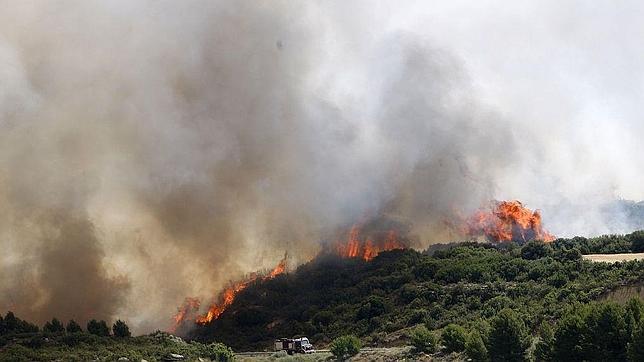 El incendio de las Cinco Villas ha calcinado 7.000 hectáreas de cultivo