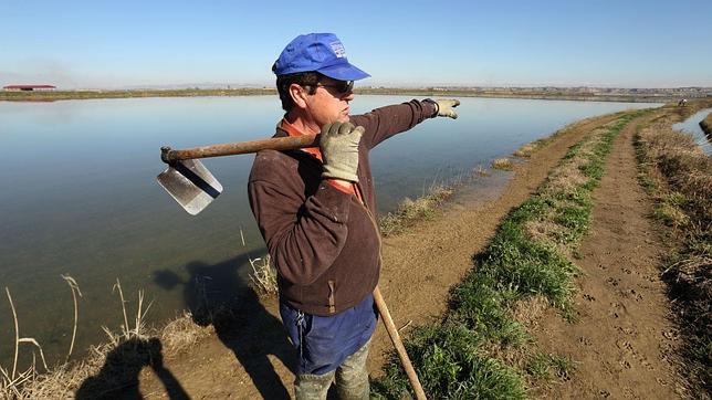 Los inundados por el Ebro hace más de cuatro meses no han recibido las ayudas prometidas