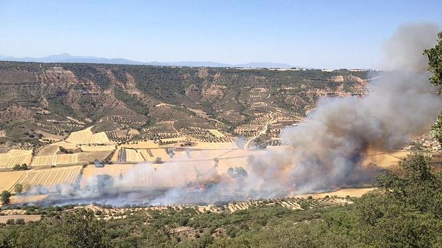 Se declara un incendio en suelo agrícola en la localidad guadalajareña de Muduex