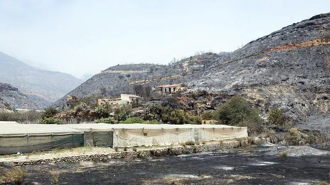 Aspecto en que quedó la zona afectada por el fuego en la Sierra de Lújar