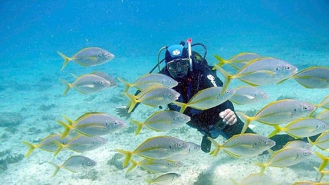 Un joven practica el buceo en un centro de buceo en España