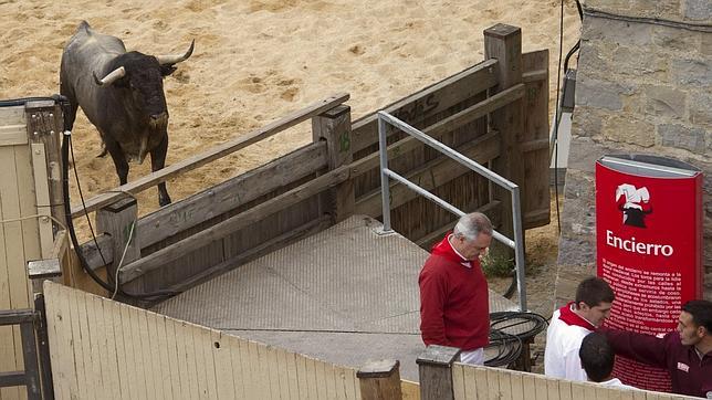 «Curioso I», el toro que no quiso correr el encierro, será lidiado por Francisco Marco