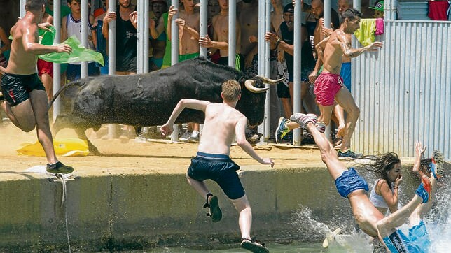 Los «bous a la mar» de Denia, fiesta de Interés Turístico Nacional desde 1993
