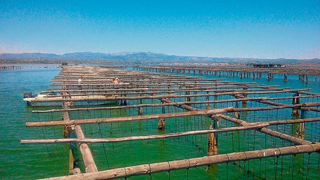 El Delta del Ebro: arroz, mariscos y buen atún