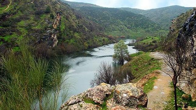 El Pinar de Almorox se encuentra en la provincia de Toledo lindando con Madrid