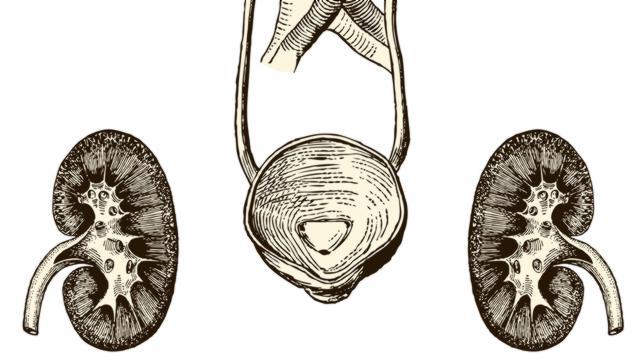 La deshidratación impide que la sangre se limpie adeucadamente