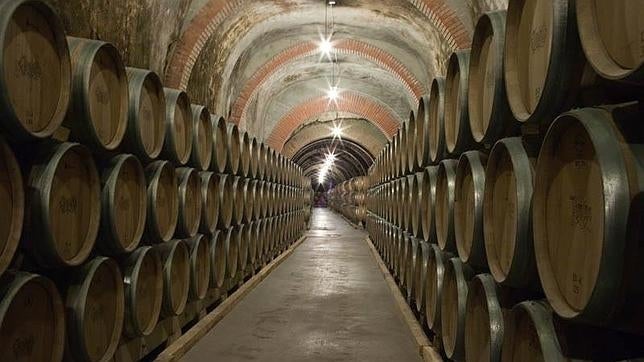 Las rutas del vino más visitadas de España