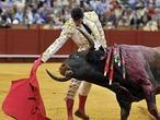 Directo: dramática voltereta del último miura a Escribano