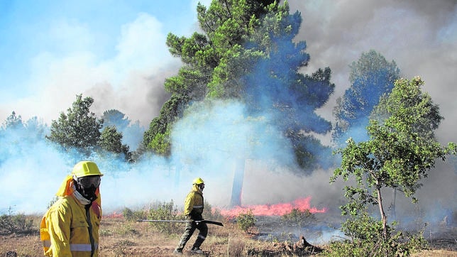 La Junta impide la huelga de incendios en León y Zamora ante la situación de alerta