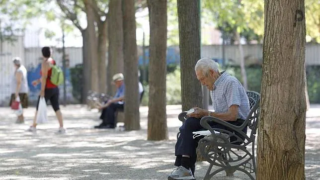 Las pensiones subirán un 0,25% en 2016