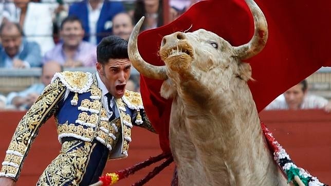 ¿Cómo va la Liga taurina? ¿Qué matador ha toreado más? ¿Quién ha cortado más orejas?