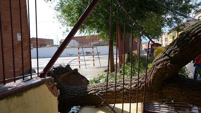 La caída de un árbol en un colegio en Manzanares provoca numerosos destrozos