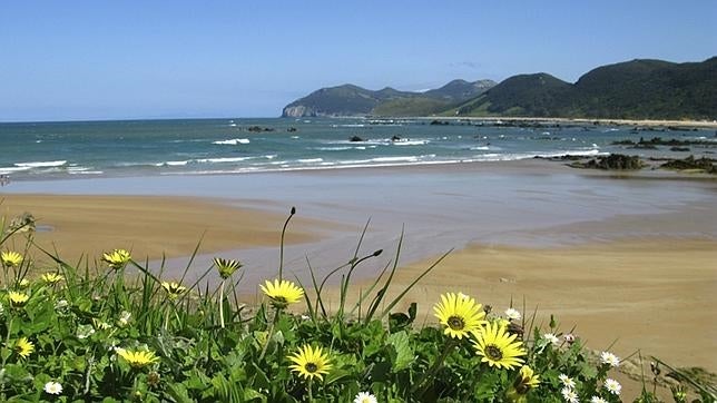 Playa de Trengandín