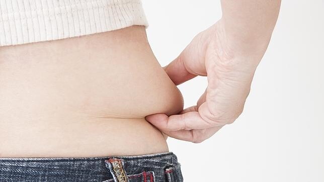 Convertir la grasa blanda en grasa parda sería fundamental para combatir la epidemia mundial de obesidad