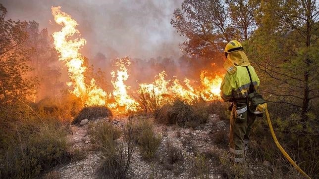 Controlados los incendios en las localidades murcianas de Lorca y Cieza