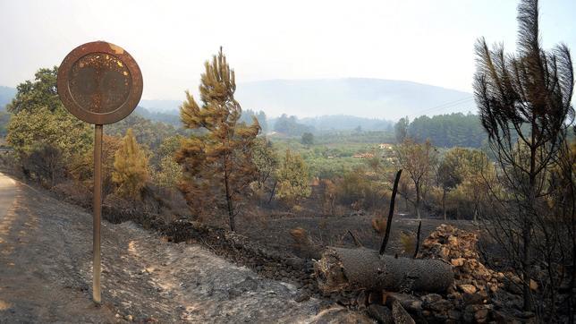 El fuego de Cáceres avanza sin control por el fuerte viento