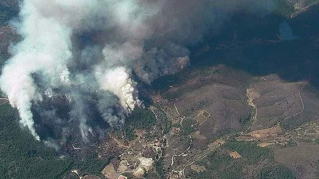 Incendio forestal declarado en la localidad de Acebo