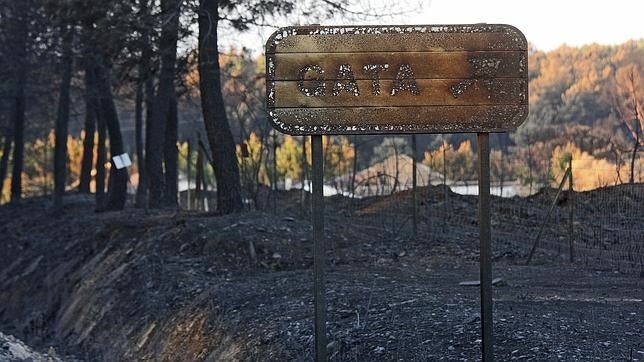 PP y Ciudadanos piden la declaración de «zona catastrófica» para la Sierra de Gata