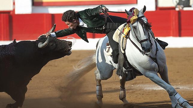 Tres espectaculares caballeros en Pontevedra